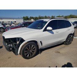 2020 BMW X5 5UXCR6C04L9B48283 69686173