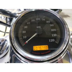 2010 HARLEY-DAVIDSON FL