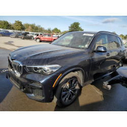 2023 BMW X5 5UXCR6C02P9R30410 70457873