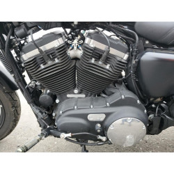 2019 HARLEY-DAVIDSON XL883 N 1HD4LE232KC414782 67169003