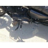 2022 HARLEY-DAVIDSON XL883 N 1HD4LE218NB405836 57228993