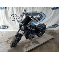 2019 HARLEY-DAVIDSON SPRTSTR120