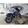 2019 HARLEY-DAVIDSON SPRTSTR120