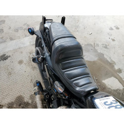 2019 HARLEY-DAVIDSON SPRTSTR120