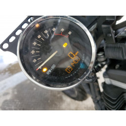 2019 HARLEY-DAVIDSON SPRTSTR120