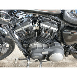 2019 HARLEY-DAVIDSON SPRTSTR120