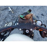 2022 HARLEY-DAVIDSON XL883 N 1HD4LE210NB401098 68560303