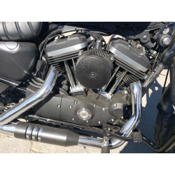 2021 HARLEY-DAVIDSON XL883 N 1HD4LE226MB410895 72283943