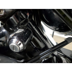 2020 HARLEY-DAVIDSON XL883 N 1HD4LE21XLB428905 70343023