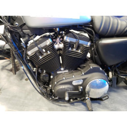 2020 HARLEY-DAVIDSON XL883 N 1HD4LE212LB437131 68813373