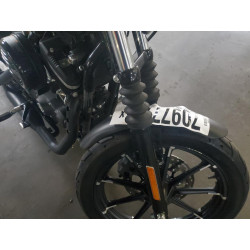 2019 HARLEY-DAVIDSON XL883 N 1HD4LE21XKC432705 70977743
