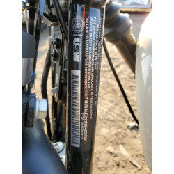 2022 HARLEY-DAVIDSON XL883 N 1HD4LE211NB408982 55978633