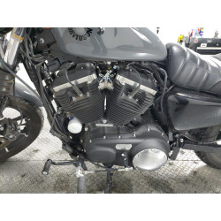 2022 HARLEY-DAVIDSON XL883 N 1HD4LE217NB400062 70868643