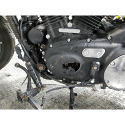 2022 HARLEY-DAVIDSON XL883 N 1HD4LE21XNB408298 69933803