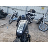 2020 HARLEY-DAVIDSON XL883 N 1HD4LE212LB400032 67526853