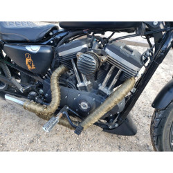 2020 HARLEY-DAVIDSON XL883 N 1HD4LE212LB400032 67526853