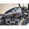2020 HARLEY-DAVIDSON XL883 N 1HD4LE217LB433754 74580373