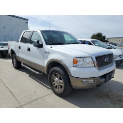 2005 FORD F-150