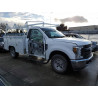 2019 FORD F250