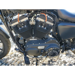 2021 HARLEY-DAVIDSON XL883 N 1HD4LE214MB409140 73133023