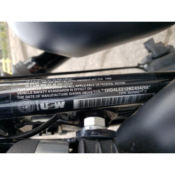 2019 HARLEY-DAVIDSON XL883 N 1HD4LE212KC434268 69396453