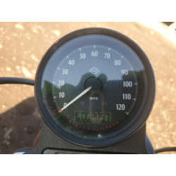 2019 HARLEY-DAVIDSON XL883 N 1HD4LE217KC424593 72255373