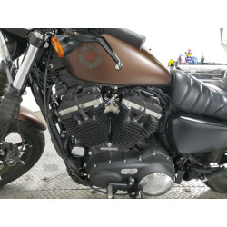 2019 HARLEY-DAVIDSON XL883 N 1HD4LE219KC414700 73726743