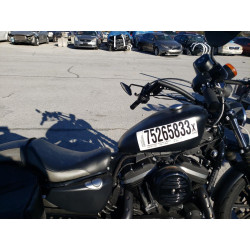 2020 HARLEY-DAVIDSON XL883 N 1HD4LE211LB436813 75265833