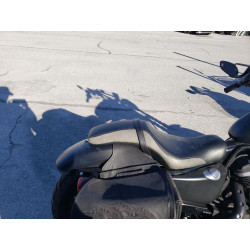 2020 HARLEY-DAVIDSON XL883 N 1HD4LE211LB436813 75265833