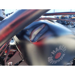 2020 HARLEY-DAVIDSON XL883 N 1HD4LE211LB436813 75265833