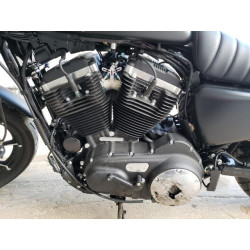 2022 HARLEY-DAVIDSON XL883 N 1HD4LE213NB408076 75069643
