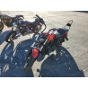 2021 HARLEY-DAVIDSON SPRTSTR120