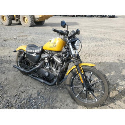 2019 HARLEY-DAVIDSON XL883 N 1HD4LE218KC416194 74355523