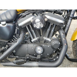 2019 HARLEY-DAVIDSON XL883 N 1HD4LE218KC416194 74355523