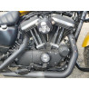 2019 HARLEY-DAVIDSON XL883 N 1HD4LE218KC416194 74355523