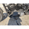2019 HARLEY-DAVIDSON XL883 N 1HD4LE219KC420903 67336933