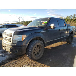 2010 FORD F-150