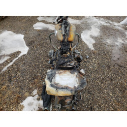 2011 HARLEY-DAVIDSON FL