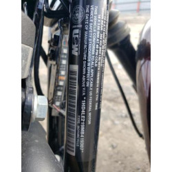 2021 HARLEY-DAVIDSON XL883 N 1HD4LE219MB419307 77084513