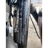 2021 HARLEY-DAVIDSON XL883 N 1HD4LE219MB419307 77084513