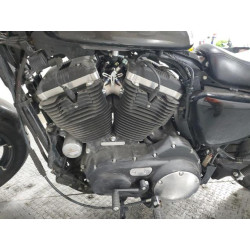 2019 HARLEY-DAVIDSON XL883 N 1HD4LE217KC418499 76741913
