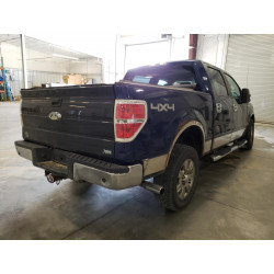 2009 FORD F-150