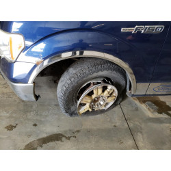 2009 FORD F-150