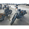 2020 HARLEY-DAVIDSON XL883 N 1HD4LE212LB421866 76645563