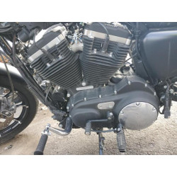 2020 HARLEY-DAVIDSON XL883 N 1HD4LE212LB421866 76645563