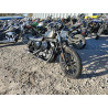 2020 HARLEY-DAVIDSON XL883 N 1HD4LE21XLB407567 75140243