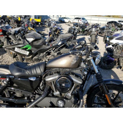 2020 HARLEY-DAVIDSON XL883 N 1HD4LE21XLB407567 75140243