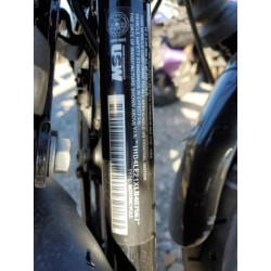 2020 HARLEY-DAVIDSON XL883 N 1HD4LE21XLB407567 75140243