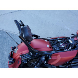 2019 HARLEY-DAVIDSON FL