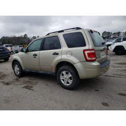 2010 FORD ESCAPE